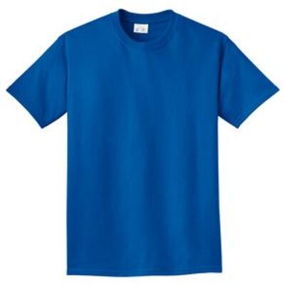 Copy of Port & Company® - Essential Pigment-Dyed Tee. PC099 Thumbnail